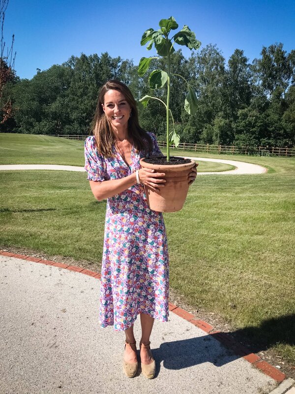 Duchess of Cambridge brings plants to The Nook on 25 June 2020