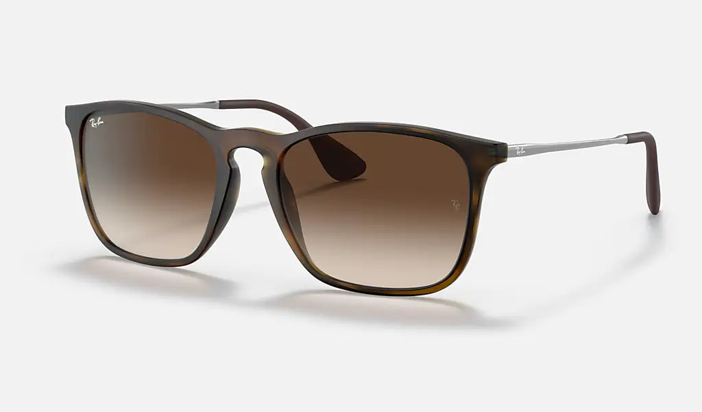 Ray-Ban Youngster RB4221 Sunglasses in Brown Rubber 